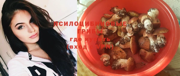 молекула духа Абинск