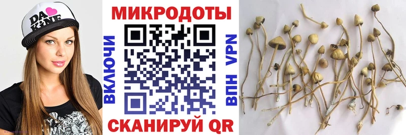 Галлюциногенные грибы MAGIC MUSHROOMS  Элиста 